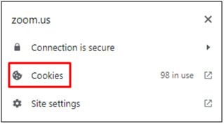 Click on the lock icon in the address bar to see the details of the cookies - Mandatly Inc.